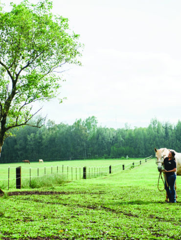 Cowboy Culture in Hawaii